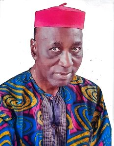 Prof. Peter Arinze (National Secretary)